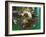 Local Food on Dish, Orissa, India-Keren Su-Framed Photographic Print