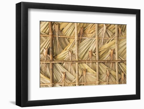 Local House, Bagan, Mandalay Region, Myanmar-Keren Su-Framed Photographic Print