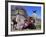 Local Indian Women with Domestic Llamas, Sacsayhumman, Cusco, Peru, South America-Pete Oxford-Framed Photographic Print