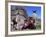 Local Indian Women with Domestic Llamas, Sacsayhumman, Cusco, Peru, South America-Pete Oxford-Framed Photographic Print