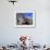 Local Indian Women with Domestic Llamas, Sacsayhumman, Cusco, Peru, South America-Pete Oxford-Framed Photographic Print displayed on a wall