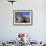 Local Indian Women with Domestic Llamas, Sacsayhumman, Cusco, Peru, South America-Pete Oxford-Framed Photographic Print displayed on a wall