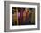 Local Oaxacan Cafe, Mexico-Judith Haden-Framed Photographic Print