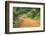 Local people traveling on dirt road, west Uganda-Keren Su-Framed Photographic Print