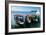 Local tourist boats Labadie, Haiti, Caribbean, Central America-Michael Runkel-Framed Photographic Print