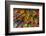 Local wares for sale at historic Mayan Chichen Itza, Mexico.-Jerry Ginsberg-Framed Photographic Print