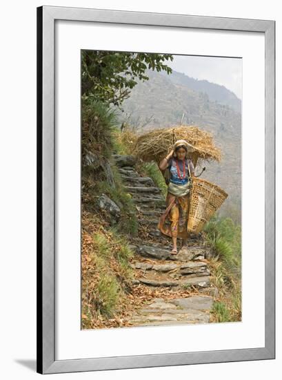 Local Woman Follows a Trail Carrying a Basket Called a Doko, Annapurna, Nepal-David Noyes-Framed Photographic Print