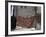 Local Woman Walking Down Steps, Blanket on Wall, Aleppo (Haleb), Syria, Middle East-Christian Kober-Framed Photographic Print