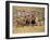 Local Women and Llamas in Front of Inca Ruins, Near Cuzco, Peru, South America-Gavin Hellier-Framed Photographic Print