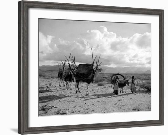 Local Women of Somaliland with Their Camels, 1935-null-Framed Photographic Print