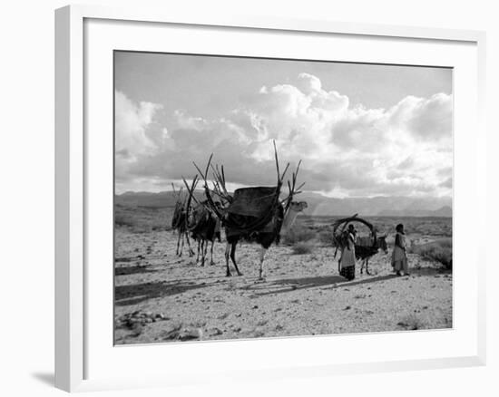 Local Women of Somaliland with Their Camels, 1935-null-Framed Photographic Print