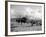 Local Women of Somaliland with Their Camels, 1935-null-Framed Photographic Print