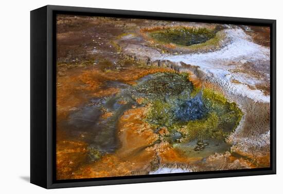Located in the vast pools of geothermal activity at El Tatio-Mallorie Ostrowitz-Framed Premier Image Canvas