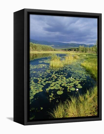 Loch and Pine Forest in Stormy Light, Strathspey, Highlands, Scotland, UK-Pete Cairns-Framed Premier Image Canvas