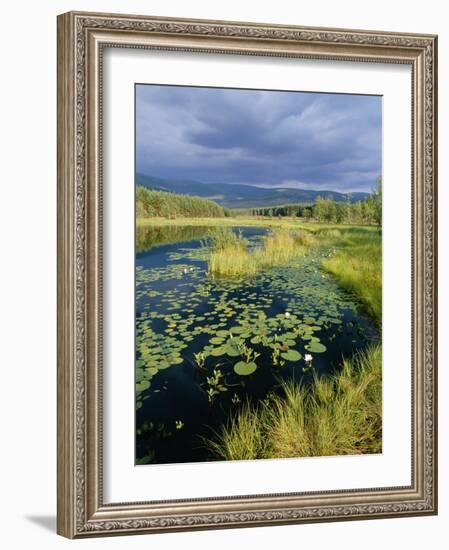 Loch and Pine Forest in Stormy Light, Strathspey, Highlands, Scotland, UK-Pete Cairns-Framed Photographic Print