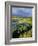 Loch and Pine Forest in Stormy Light, Strathspey, Highlands, Scotland, UK-Pete Cairns-Framed Photographic Print