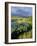 Loch and Pine Forest in Stormy Light, Strathspey, Highlands, Scotland, UK-Pete Cairns-Framed Photographic Print