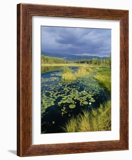 Loch and Pine Forest in Stormy Light, Strathspey, Highlands, Scotland, UK-Pete Cairns-Framed Photographic Print
