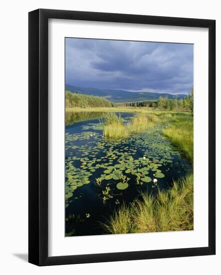 Loch and Pine Forest in Stormy Light, Strathspey, Highlands, Scotland, UK-Pete Cairns-Framed Photographic Print