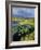 Loch and Pine Forest in Stormy Light, Strathspey, Highlands, Scotland, UK-Pete Cairns-Framed Photographic Print