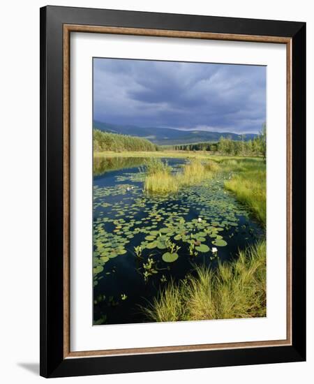 Loch and Pine Forest in Stormy Light, Strathspey, Highlands, Scotland, UK-Pete Cairns-Framed Photographic Print