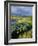 Loch and Pine Forest in Stormy Light, Strathspey, Highlands, Scotland, UK-Pete Cairns-Framed Photographic Print