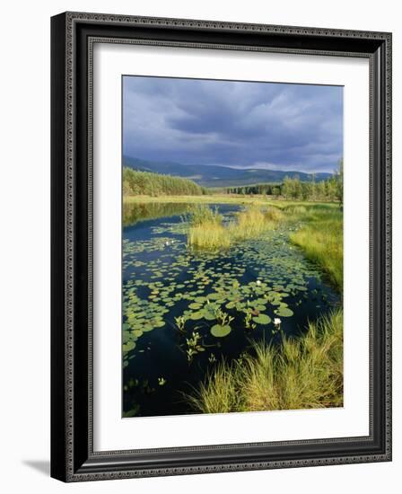 Loch and Pine Forest in Stormy Light, Strathspey, Highlands, Scotland, UK-Pete Cairns-Framed Photographic Print