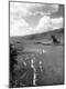Premium Photographic Print