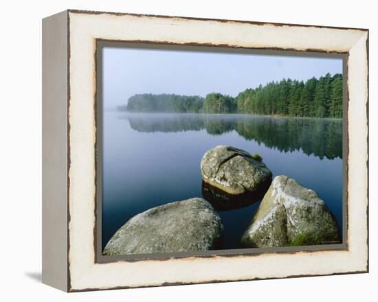 Loch Garten Rspb Reserve at Dawn, Highlands, Scotland, UK-Pete Cairns-Framed Premier Image Canvas