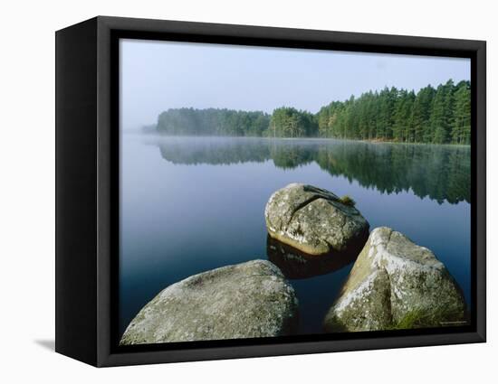 Loch Garten Rspb Reserve at Dawn, Highlands, Scotland, UK-Pete Cairns-Framed Premier Image Canvas