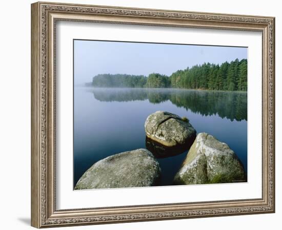 Loch Garten Rspb Reserve at Dawn, Highlands, Scotland, UK-Pete Cairns-Framed Photographic Print