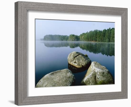 Loch Garten Rspb Reserve at Dawn, Highlands, Scotland, UK-Pete Cairns-Framed Photographic Print