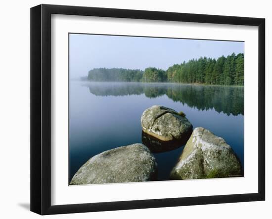 Loch Garten Rspb Reserve at Dawn, Highlands, Scotland, UK-Pete Cairns-Framed Photographic Print