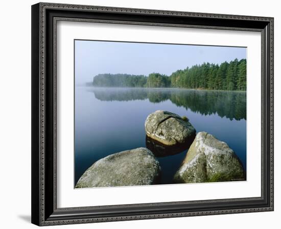 Loch Garten Rspb Reserve at Dawn, Highlands, Scotland, UK-Pete Cairns-Framed Photographic Print