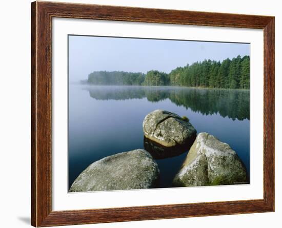 Loch Garten Rspb Reserve at Dawn, Highlands, Scotland, UK-Pete Cairns-Framed Photographic Print