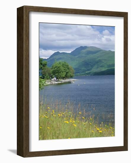 Loch Lomond and Ben Lomond from North of Luss, Argyll and Bute, Strathclyde, Scotland-Roy Rainford-Framed Photographic Print