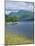 Loch Lomond and Ben Lomond from North of Luss, Argyll and Bute, Strathclyde, Scotland-Roy Rainford-Mounted Photographic Print