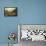 Loch Lomond-Sidney Richard Percy-Framed Premier Image Canvas displayed on a wall