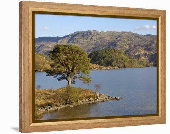 Loch Morar, Highlands, Scotland, United Kingdom, Europe-Gary Cook-Framed Premier Image Canvas