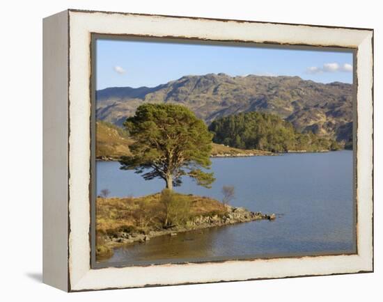 Loch Morar, Highlands, Scotland, United Kingdom, Europe-Gary Cook-Framed Premier Image Canvas