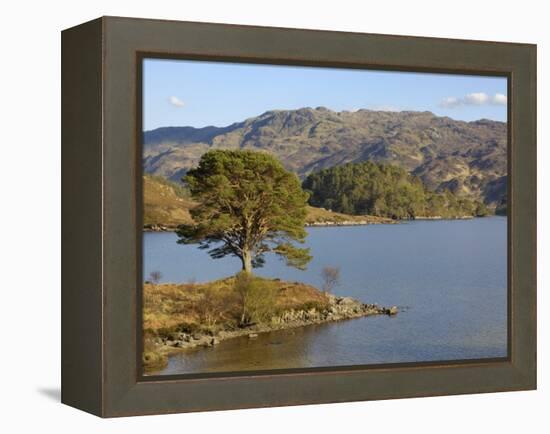 Loch Morar, Highlands, Scotland, United Kingdom, Europe-Gary Cook-Framed Premier Image Canvas