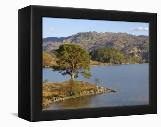 Loch Morar, Highlands, Scotland, United Kingdom, Europe-Gary Cook-Framed Premier Image Canvas