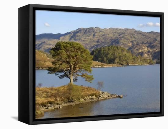 Loch Morar, Highlands, Scotland, United Kingdom, Europe-Gary Cook-Framed Premier Image Canvas