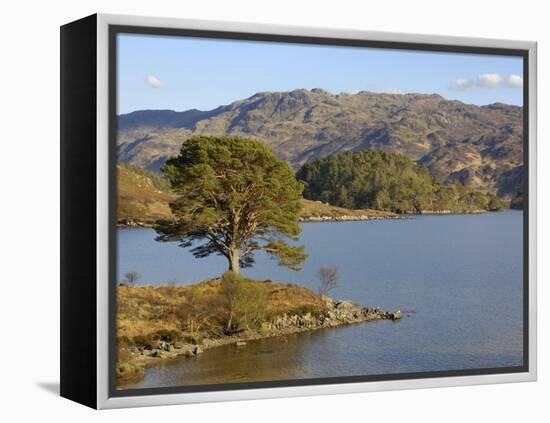 Loch Morar, Highlands, Scotland, United Kingdom, Europe-Gary Cook-Framed Premier Image Canvas