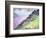 Loch Ness from Glendoe Lodge, 1995-Izabella Godlewska de Aranda-Framed Giclee Print