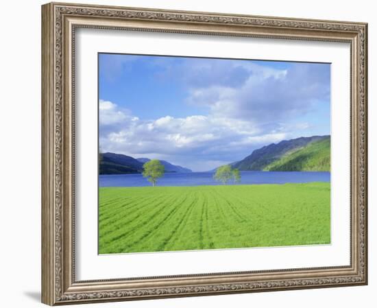 Loch Ness from the Western End, Highlands Region, Scotland, UK, Europe-I Vanderharst-Framed Photographic Print