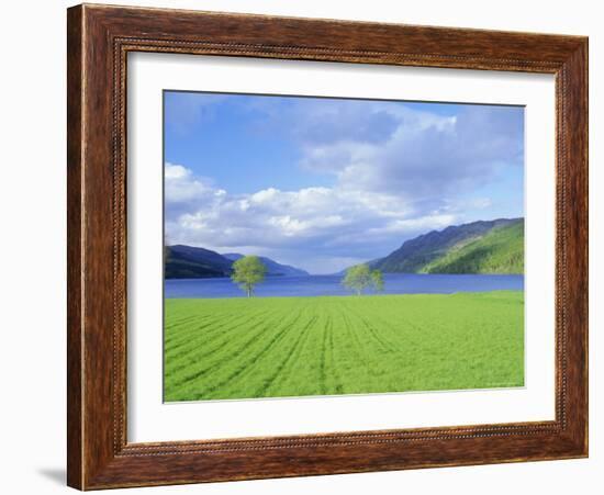 Loch Ness from the Western End, Highlands Region, Scotland, UK, Europe-I Vanderharst-Framed Photographic Print