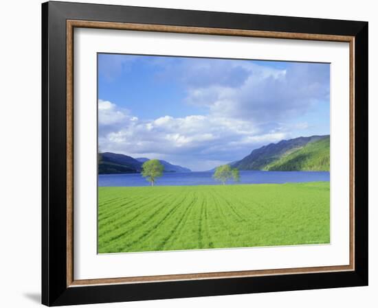 Loch Ness from the Western End, Highlands Region, Scotland, UK, Europe-I Vanderharst-Framed Photographic Print