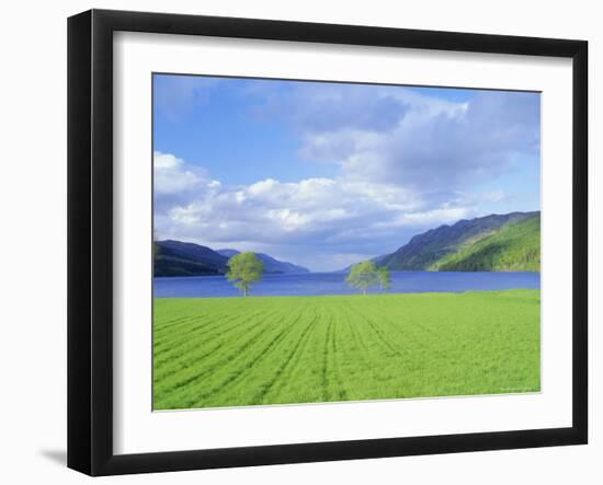 Loch Ness from the Western End, Highlands Region, Scotland, UK, Europe-I Vanderharst-Framed Photographic Print