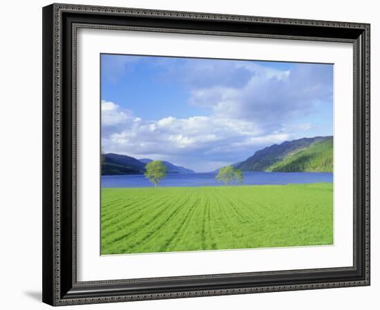 Loch Ness from the Western End, Highlands Region, Scotland, UK, Europe-I Vanderharst-Framed Photographic Print